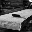 5-inch-plank-oak
