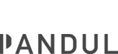 pandul-logo
